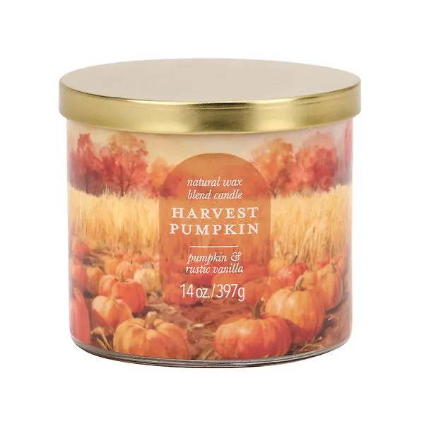 14OZ Candle Jar Harvest Pumpkin 3 Multi